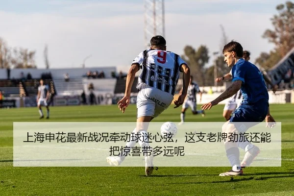img_1780906861359_144_1_662.jpg